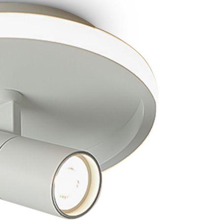 Потолочный светильник Freya Neo FR6040CL-L14W