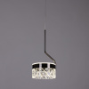 Подвесной светильник Arte Lamp Mosaic A2094SP-1BK