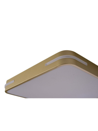 Потолочный светильник Zortes Gabby ZRS.1215.03