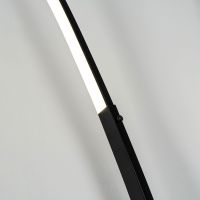 Торшер Modemodern MD.6801.01FL