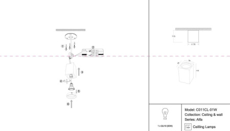 Потолочный светильник Maytoni Alfa C011CL-01W