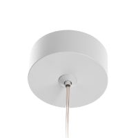 Подвесной светильник Citilux Hardy CL002P10