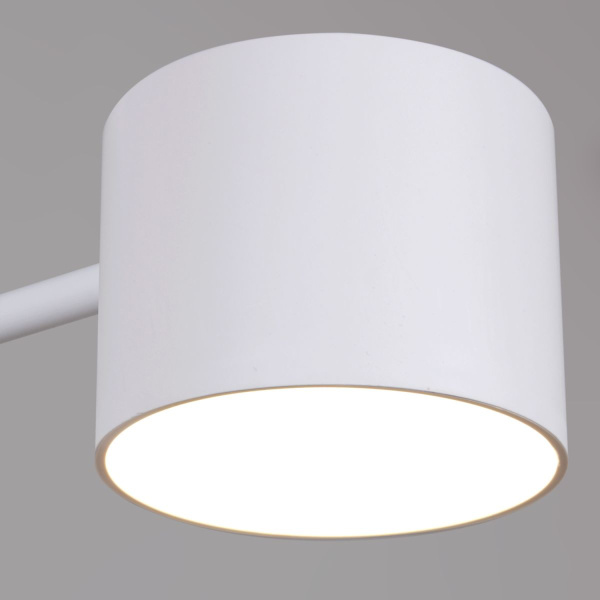 Люстра на штанге Reluce 47206-0.3-06WT