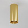 Потолочный светильник Maytoni Technical Focus C010CL-01MG-N
