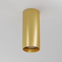 Потолочный светильник Maytoni Technical Focus C010CL-01MG-N