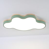 Потолочный светильник ImperiumLoft Cloud Eco 101450-26