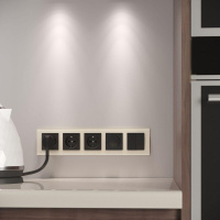 Рамка на 5 постов (молочный, стекло) W0051141 Werkel