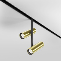 Трековый магнитный светильник Maytoni Elti Duo TR005-2-2X12W4K-BBS