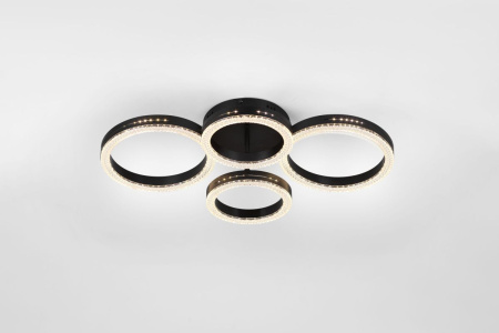 Потолочный светильник Rivoli Flora 6191-201