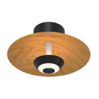 Настенный светильник Favourite Rueda 4288-1W