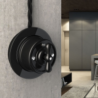 Выключатель Retro двухклавишный на 4 положения черный WL18-01-05 Werkel