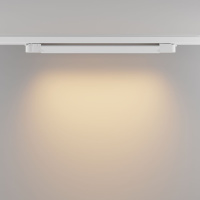 Трековый трехфазный светильник Maytoni Basis TR196-3-20W2.7K-W