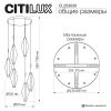 Подвесной светильник Citilux Tanna CL253030