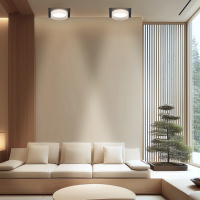 Точечный светильник Apeyron 16-113