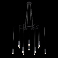 Подвесная люстра Maytoni Davida MOD035PL-12B