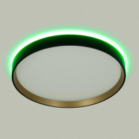 Потолочный светильник Citilux Etalon CL750321R