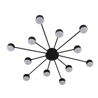 Потолочная люстра Lumion Comfi Torina 8344/12C