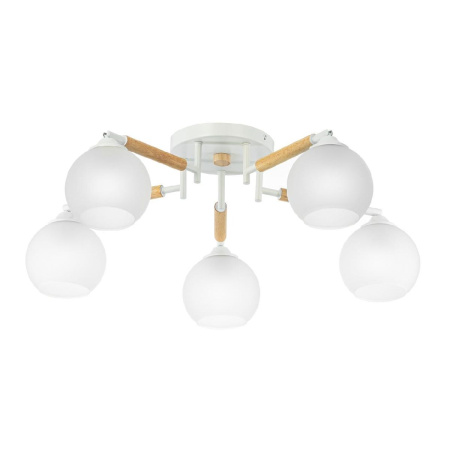 Потолочная люстра Citilux Tika CL133150