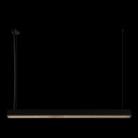 Подвесной светильник Loft IT Vim 10318/C Black