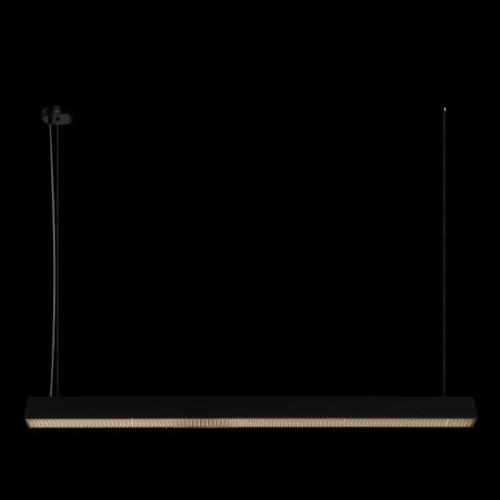 Подвесной светильник Loft IT Vim 10318/C Black