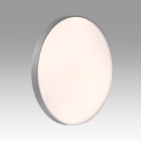 Настенно-потолочный светильник Sonex Tan Gaby 7784/ELN