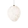 Подвесной светильник Loft IT Fionora 10531E
