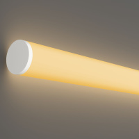 Гибкий неон Maytoni Led Strip 24В 14,4Вт/м 2700К 5м IP65 20300