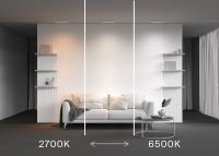 Трековый магнитный светильник Maytoni Technical Basis Radity TR080-4-10WTW-W