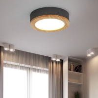 Потолочный светильник ImperiumLoft Wudda 179768-26