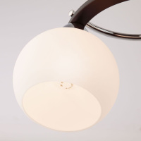 Потолочный светильник Eurosvet 9654/5 хром/черный