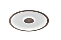 Потолочный светильник Freya Freya Orbit FR5421CL-L80BR