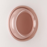 Настенно-потолочный светильник Sonex Color Portman 7778/DLN