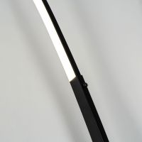Торшер Modemodern MD.6802.01FL