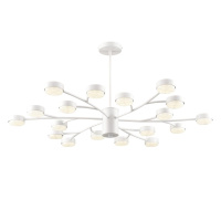 Люстра на штанге Lumion Comfi Torina 8265/18