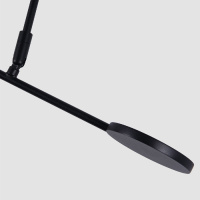 Потолочный светильник Favourite Vorago 4572-1C