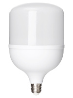 Лампа светодиодная TDM Electric Народная E27 60W 6500K матовая SQ0340-1649