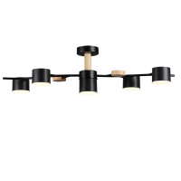 Люстра на штанге Lumion Crypto 8194/5C