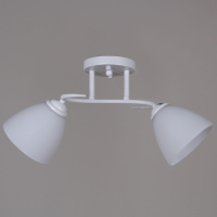 Потолочный светильник Reluce 44560-0.3-02 WH