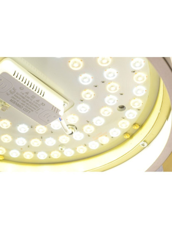 Потолочный светильник Zortes Gerda ZRS.1097.40