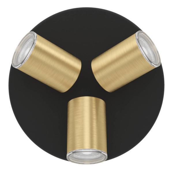 Спот Eglo Consuma 1 300586