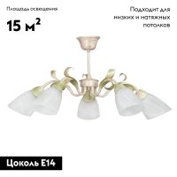 Потолочная люстра Vitaluce V1535/5PL
