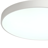 Потолочный светильник Zortes Tortty ZRS.02564.120