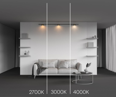 Трековый магнитный светильник Maytoni Zon TR189-1-12W4K-BBS