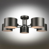 Люстра потолочная Omnilux Liser? OML-54507-05