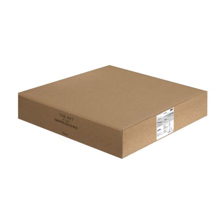 Потолочный светильник Freya Pie FR6086CL-L117B