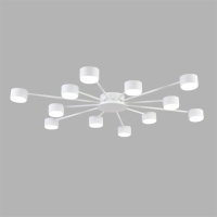 Потолочная люстра Lumion Comfi Torina 8343/12C