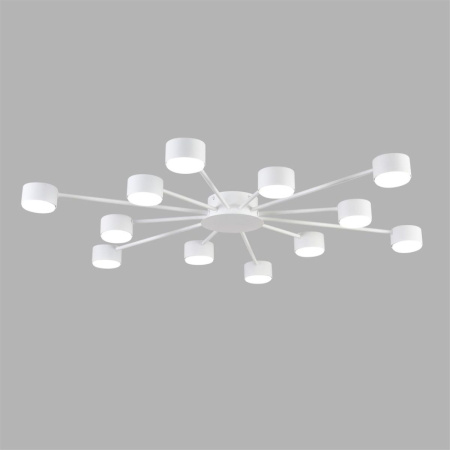 Потолочная люстра Lumion Comfi Torina 8343/12C