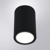 Уличный потолочный светильник Arte Lamp Torcular A1307PF-1BK