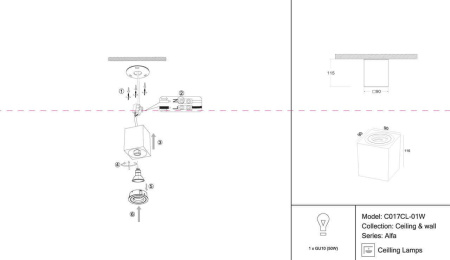 Потолочный светильник Maytoni Alfa C017CL-01W