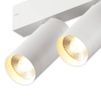 Трековый однофазный светильник AM Group AM528 WH-220V-2X10W SMART